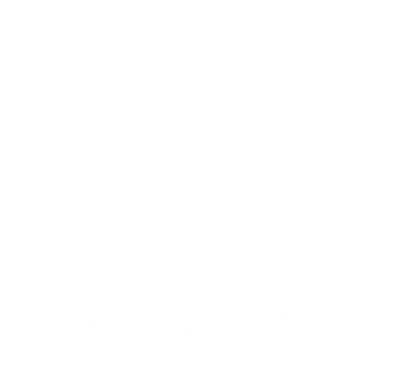 INN Chile